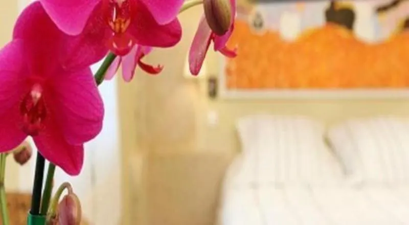 Hotel Tingis Париж