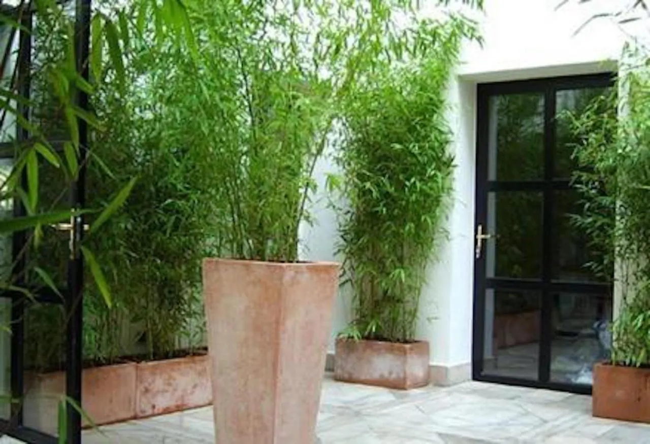 Hotel Tingis Париж